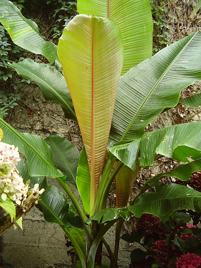 013.28 août 2013.JPG