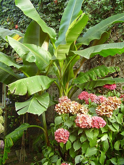 014.05 septembre 2013 (1).JPG