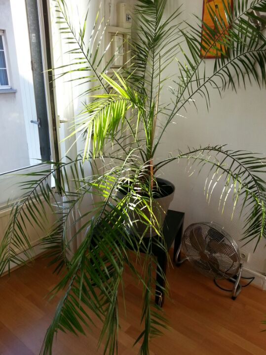 20130814_192517_20130905213605776.jpg