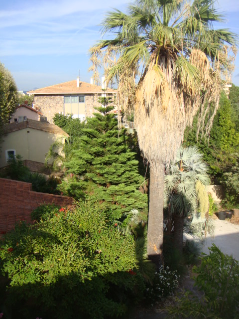 DSC05218.JPG