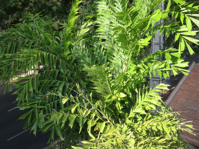 DSC05220.JPG