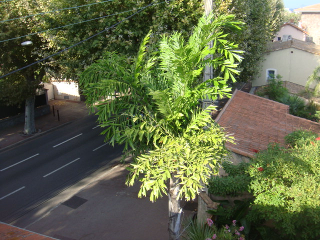 DSC05219.JPG