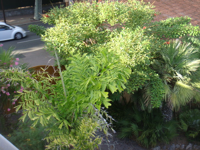 DSC05216.JPG