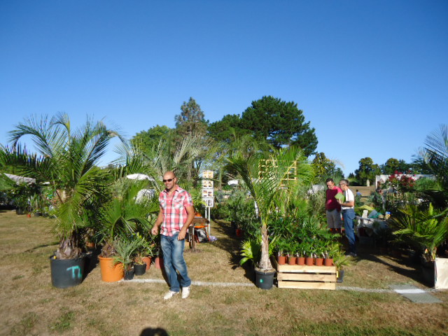Christophe de Terres lointaines devant le stand des fous de palmiers