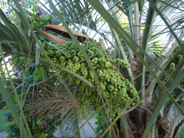 DSC01464.JPG