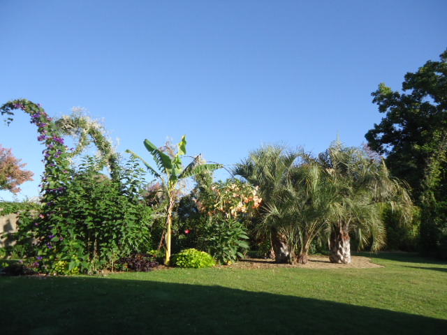 DSC01474.JPG