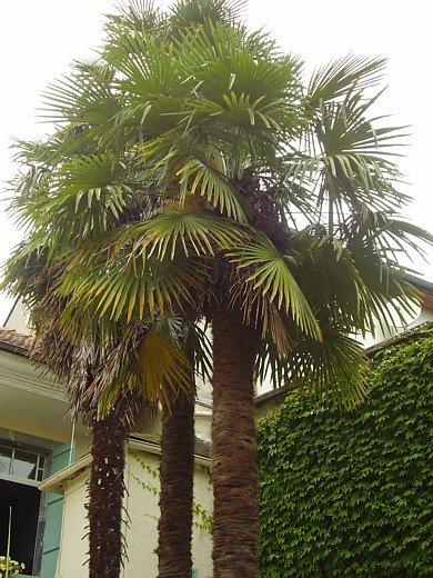 009.Mercredi 22 aout 2007 (3).JPG