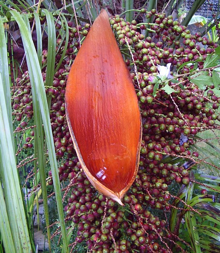 07 septembre 2013.jpg