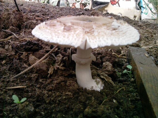 P150913_11.54_[01].jpg
