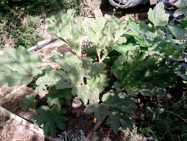 P150913_12.01.jpg
