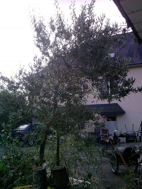P150913_12.05.jpg