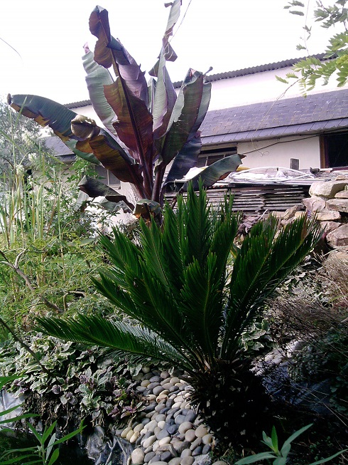 P150913_12.08.jpg