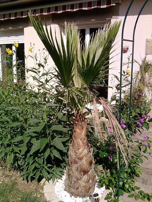 P150913_12.14.jpg