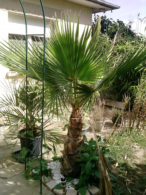 P150913_12.14_[01].jpg