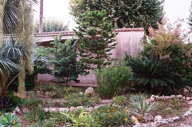 2003 (5).JPG