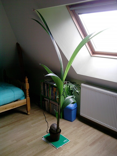 P200913_14.07.jpg