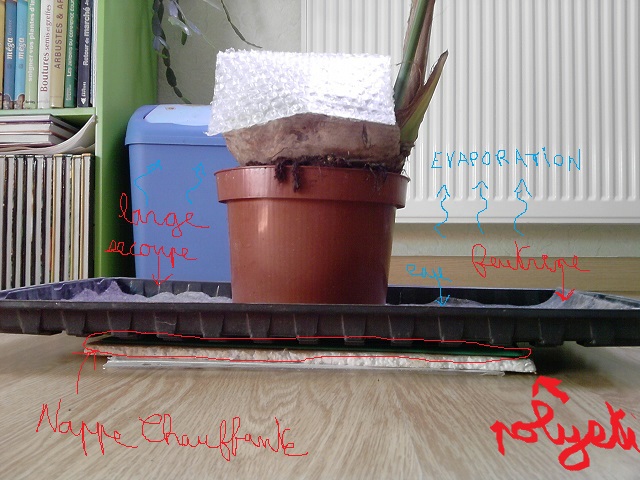 explication^^ dites moi si vous ne comprenez pas! ^^ ;)