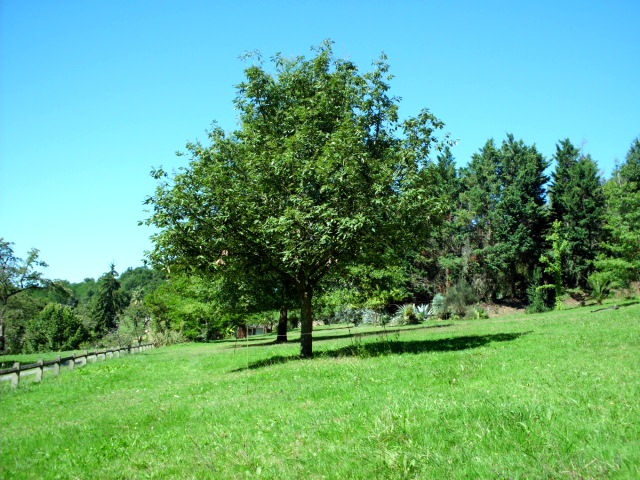 HPIM1626.JPG