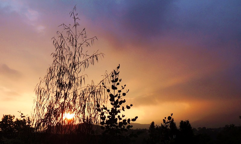 20130925_108.JPG