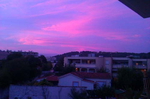 IMAG0528.jpg