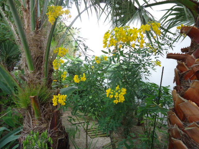 DSC01513.JPG