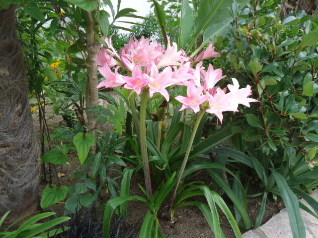 DSC01511.JPG
