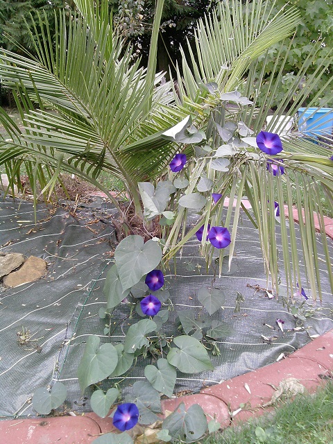 P290913_13.54_[01].jpg