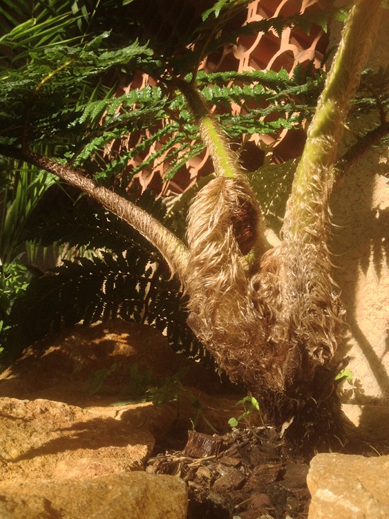 ZONE SUD OUEST 7.jpg