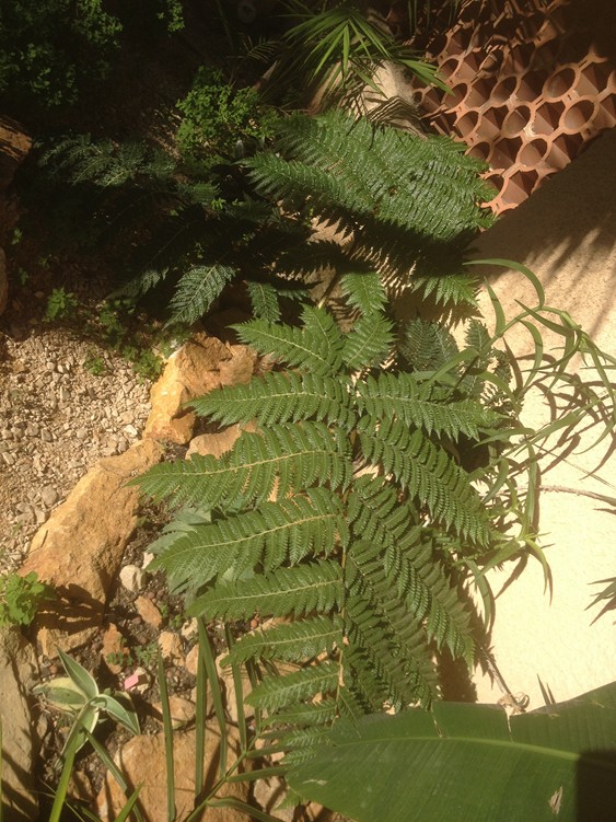 ZONE SUD OUEST 8.jpg