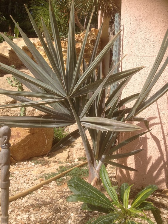 ZONE SUD OUEST 9.jpg