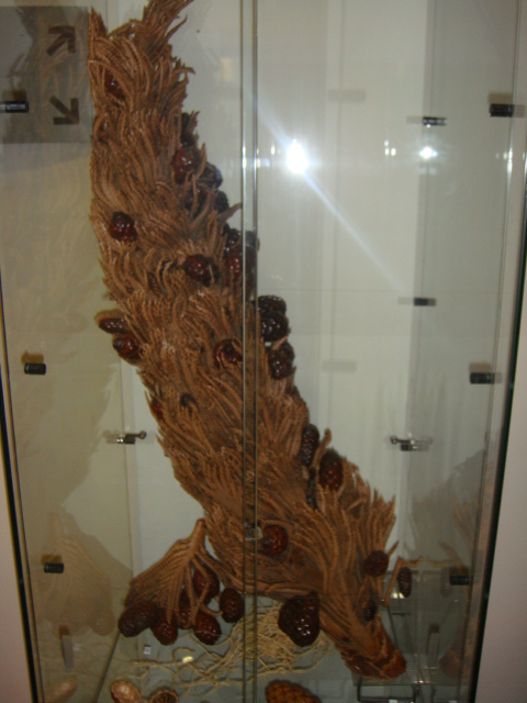 DSC01762.JPG