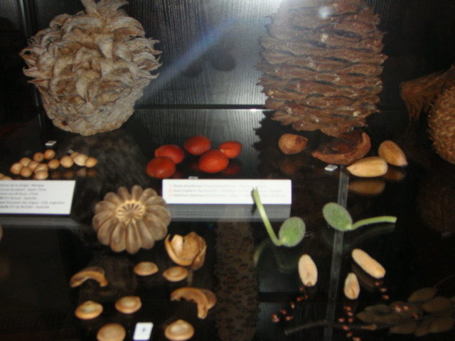 DSC01765.JPG
