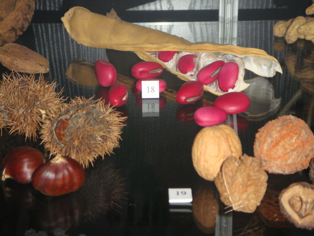 DSC01768.JPG