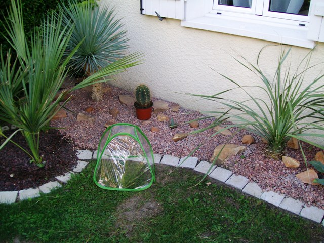 Photo 1084.jpg