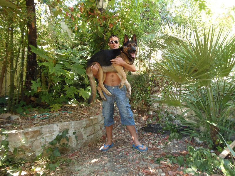 P9022552 [800x600].JPG