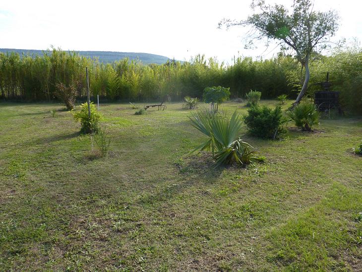 P1060028.jpg