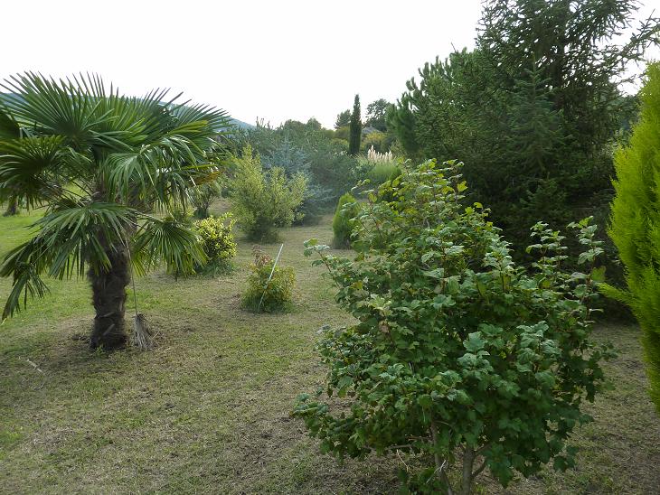 P1060053.jpg