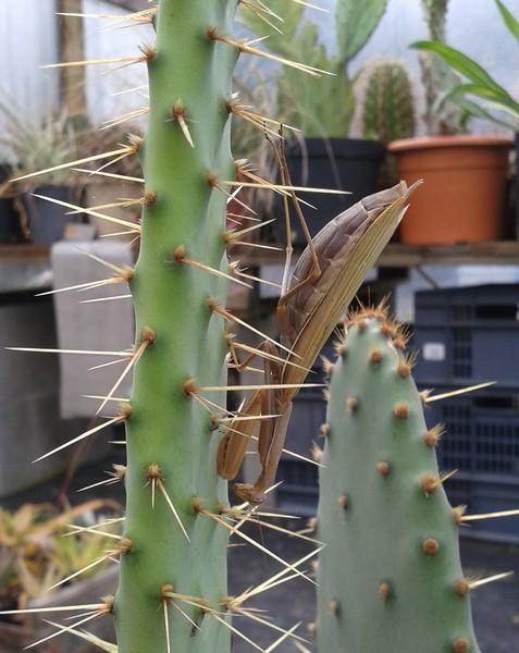 20131016_112958 bis.jpg