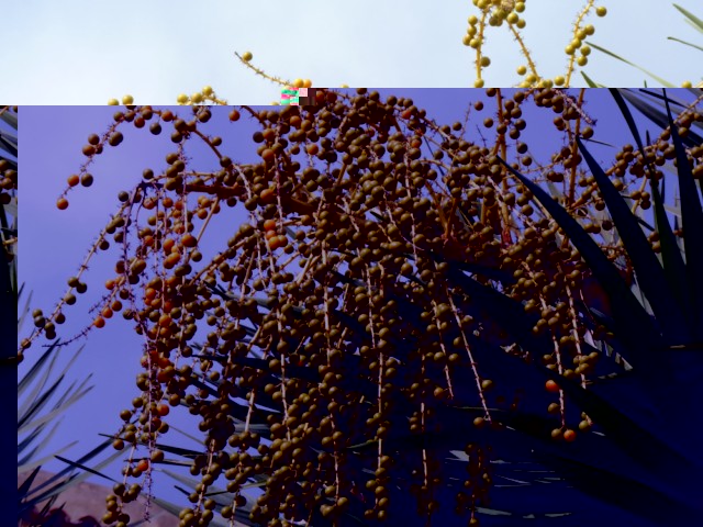 P1000518 [DVD (NTSC)].JPG