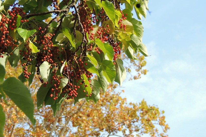 20131026_28.JPG