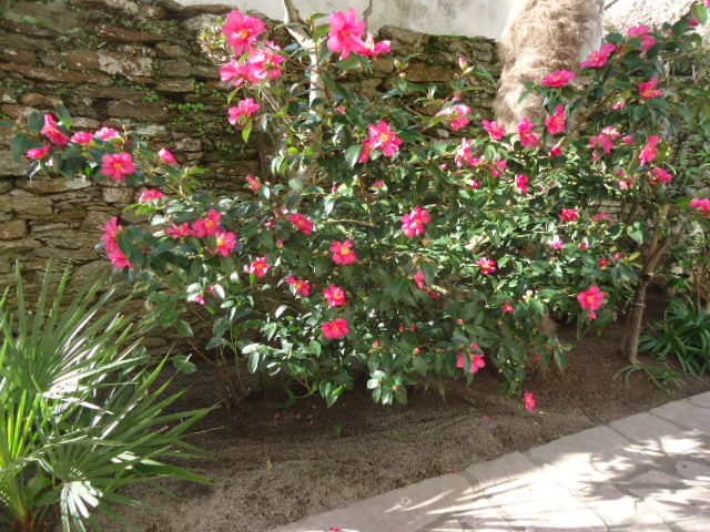 DSC01550.JPG