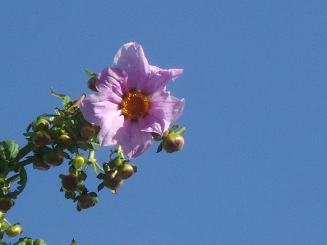 DSC01552.JPG