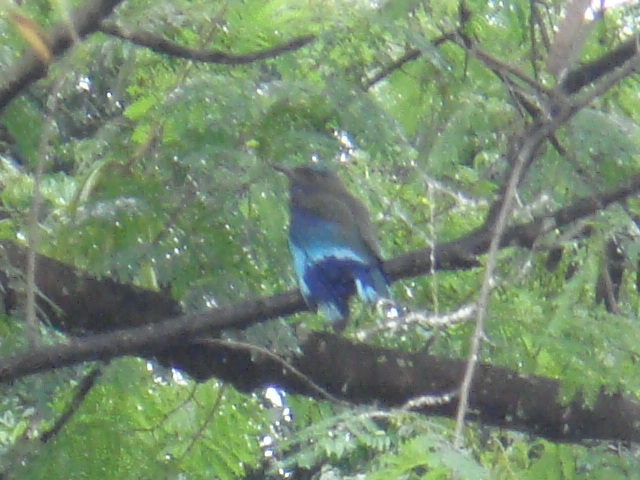 DSC02971.JPG
