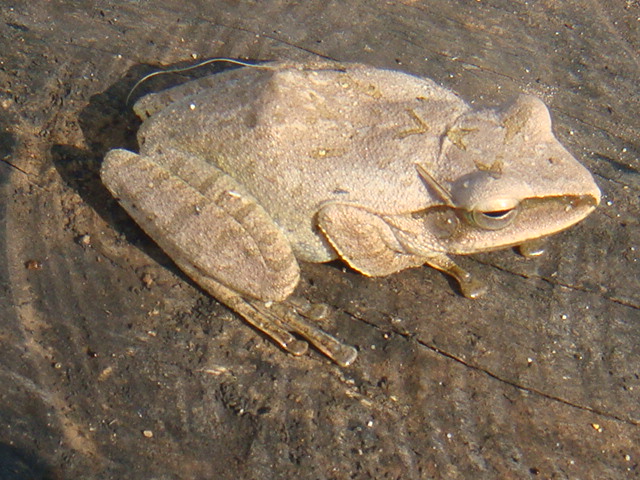 DSC03056.JPG