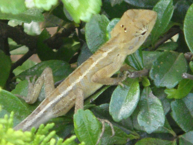 DSC03473.JPG
