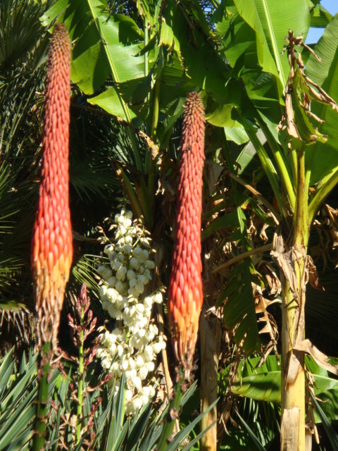 DSC02903.JPG