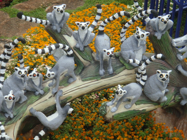 DSC03181.JPG