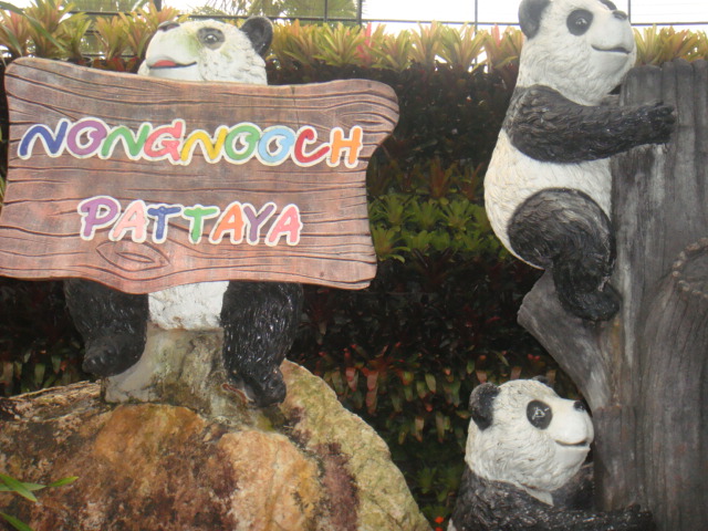 DSC03212.JPG