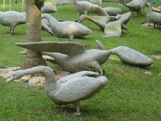DSC03188.JPG