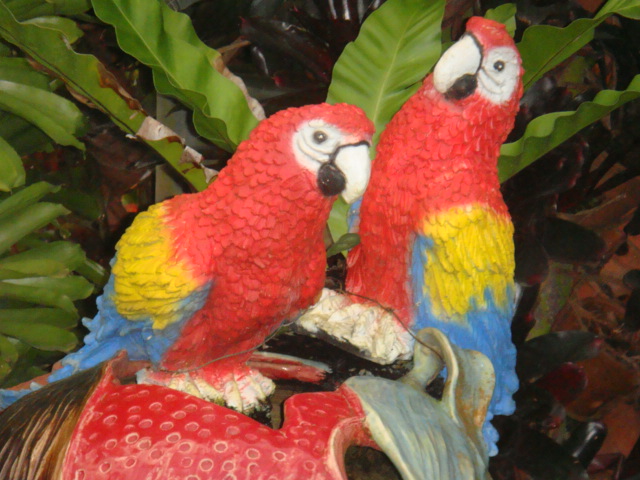 DSC03210.JPG